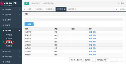 建站神器 cms网站插件 jeecg p3 biz cms 发布